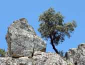 Sierra de las Corchuelas