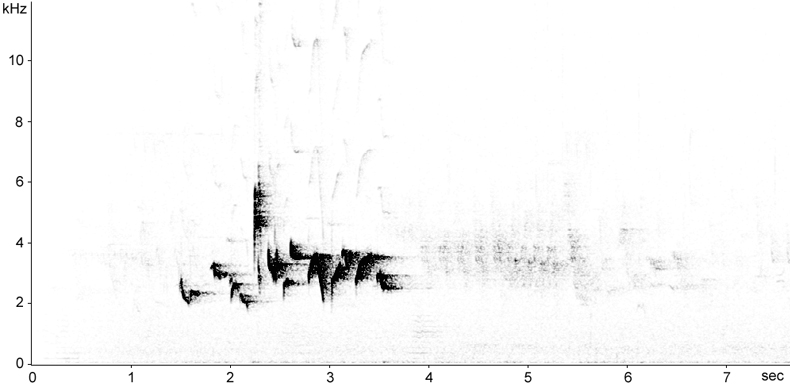 Sonogram of Backcap song
