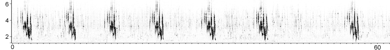 Sonogram of Black-headed Bunting song