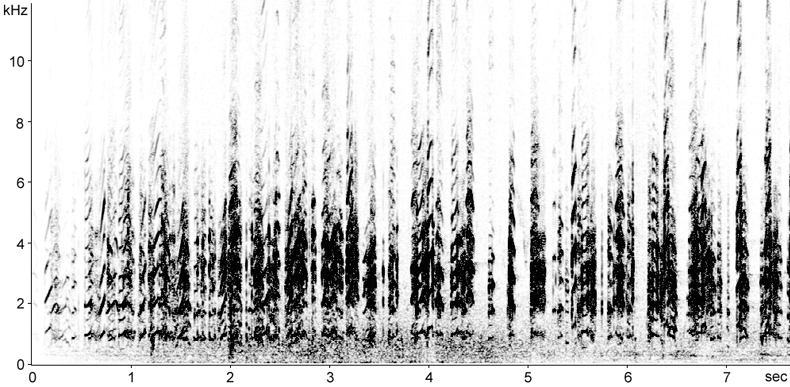 Sonogram of Black-winged Stilt territorial calls