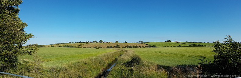 Busbiehill, Ayrshire  Fraser Simpson 