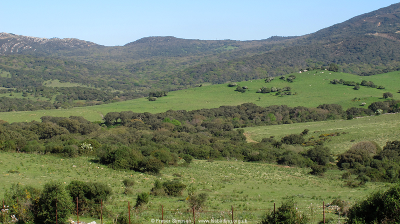 Valle de Ojn  Fraser Simpson