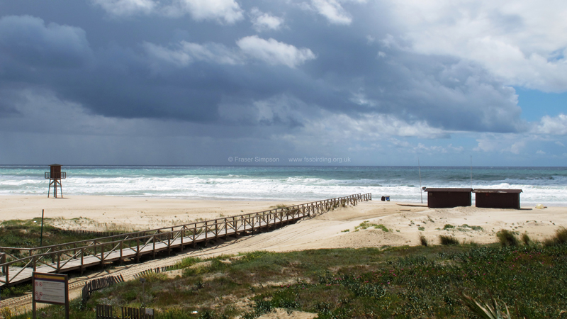 Zahara de los Atunes  Fraser Simpson