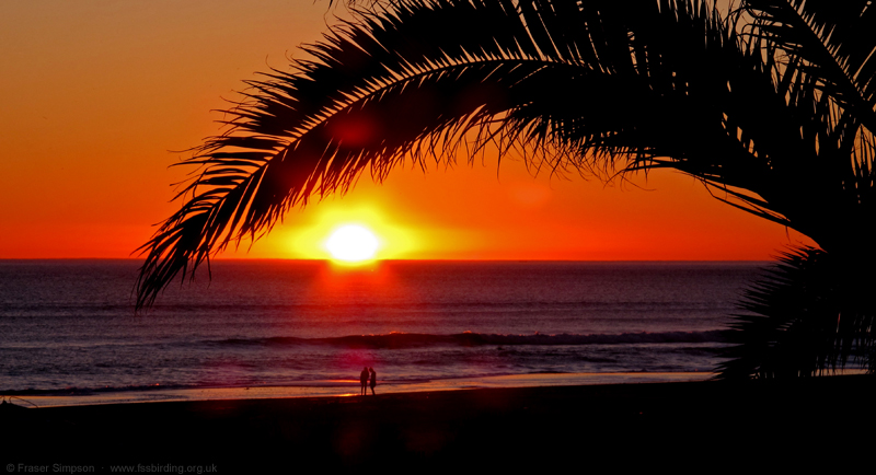 Playa de Zahara sunset  Fraser Simpson