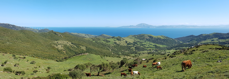 Strait of Gibraltar, from Mirador de Estrecho  Fraser Simpson