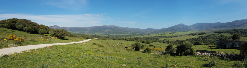 Valle de Ojn, Parque Natural de los Alcornocales  Fraser Simpson
