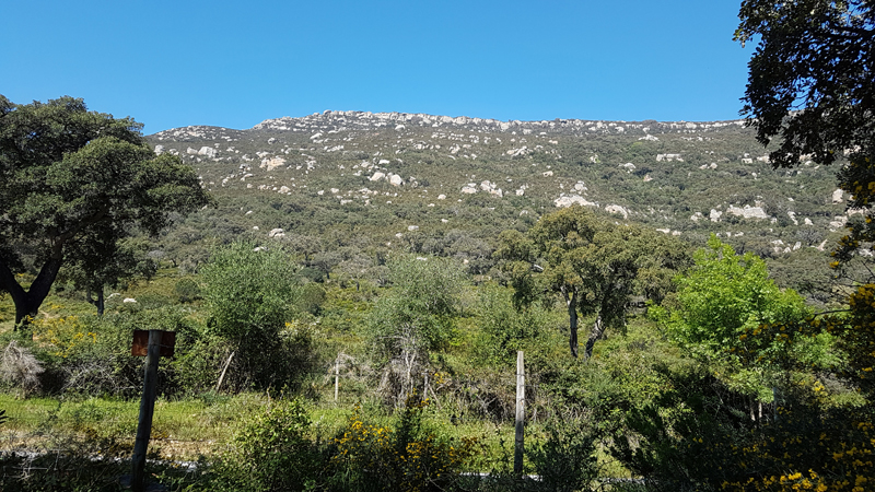 Serndero Canuto de Risco Blanco, Valle de Ojn, Parque Natural de los Alcornocales  Fraser Simpson