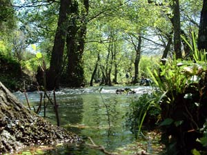 Arroyo del Tiradero