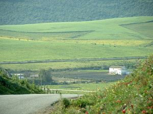 Almarchal area