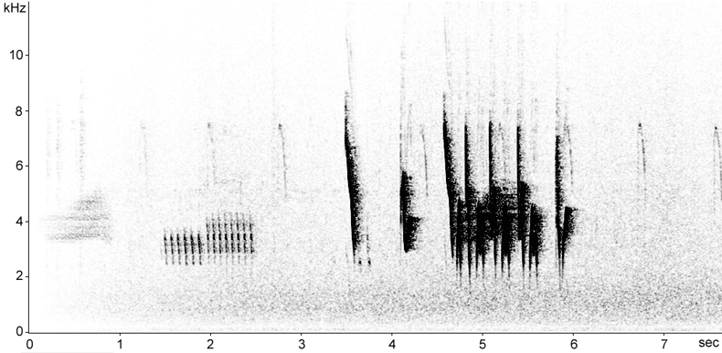 Sonogram of Cetti's Warbler song