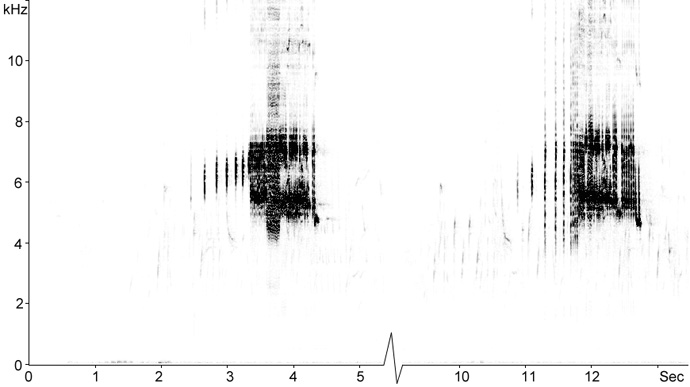 Sonogram of Corn Bunting song