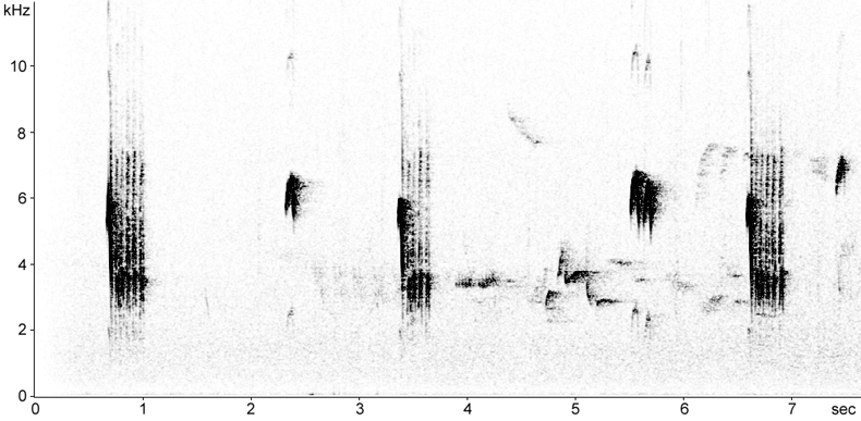 Sonogram of Crested Tit calls