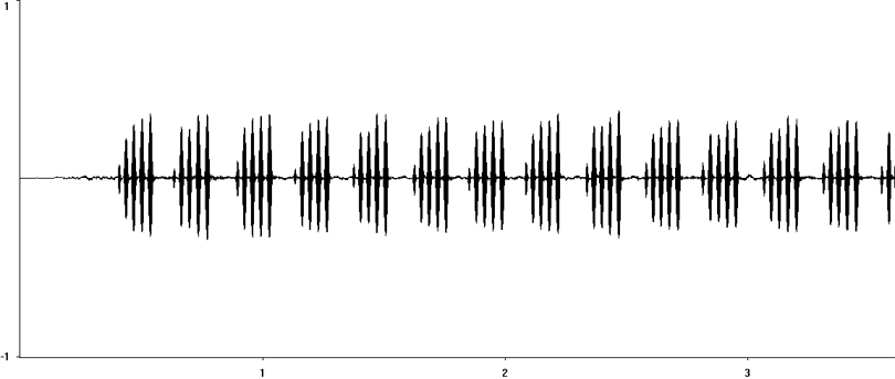 Oscillogram of European Field Cricket song