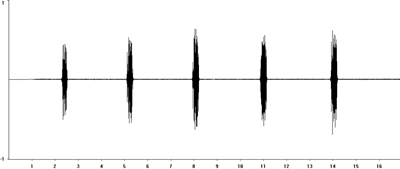Oscillogram of Field Grasshopper song