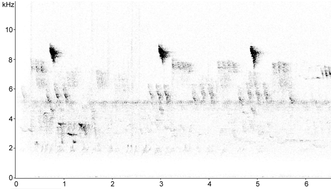 Sonogram of Firecrest call