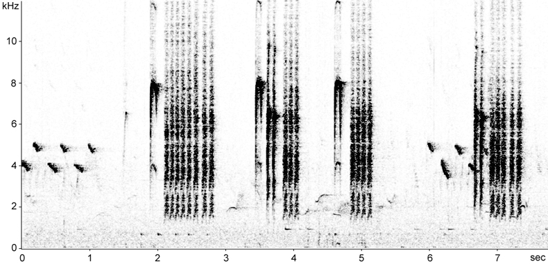 Sonogram of Great Tit calls