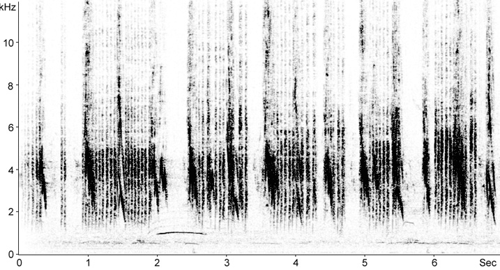 Sonogram of House Sparrow calls