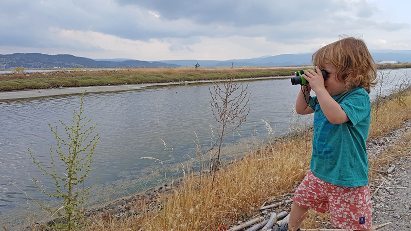Jack birding Kalloni Saltpans  Fraser Simpson    www.fssbirding.org.uk