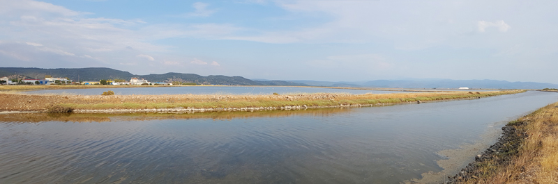 Kalloni Saltpans  Fraser Simpson    www.fssbirding.org.uk
