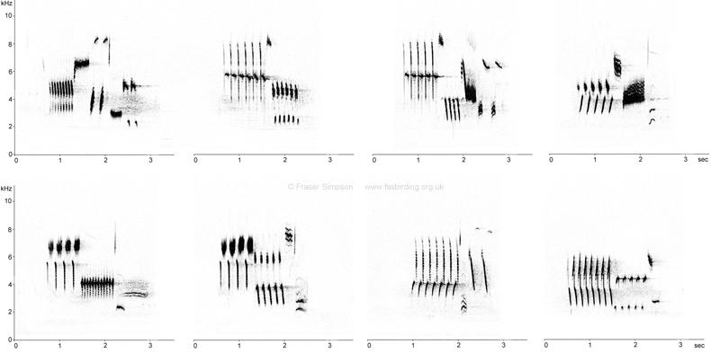 Sonogram of Little Bunting repertoire