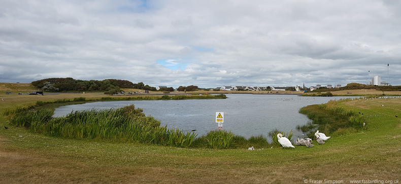 Magnum Pond, Ayrshire  Fraser Simpson 