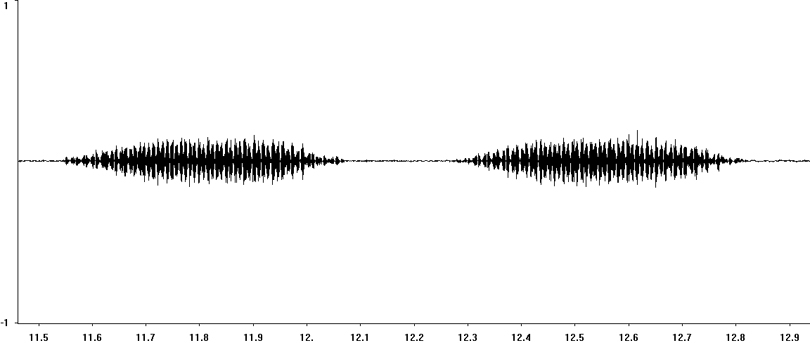 Oscillogram of Mottled Grasshopper stridulation