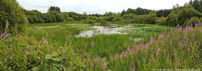 Oldhall Ponds SWT, Ayrshire  Fraser Simpson 