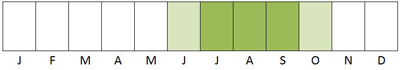 Adult Roesel's Bush-cricket phenology