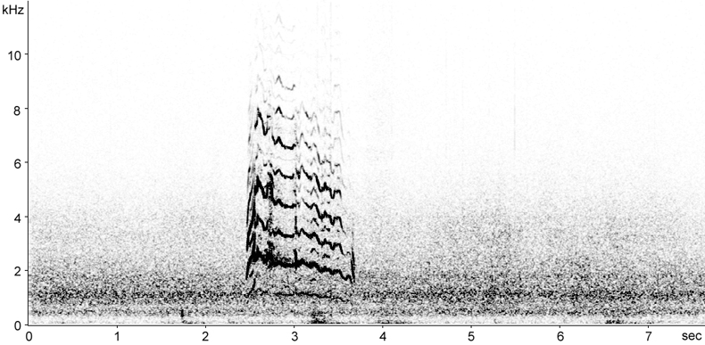 Sonogram of Rough-legged Buzzard calls