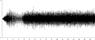 Oscillogram of Short-winged Conehead calling song