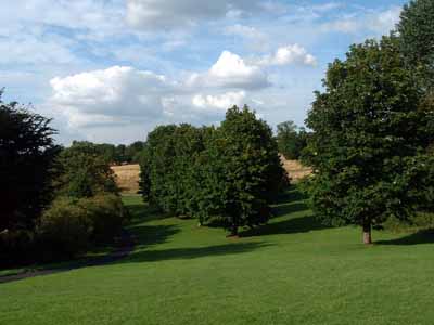 Parkland by the churchyard