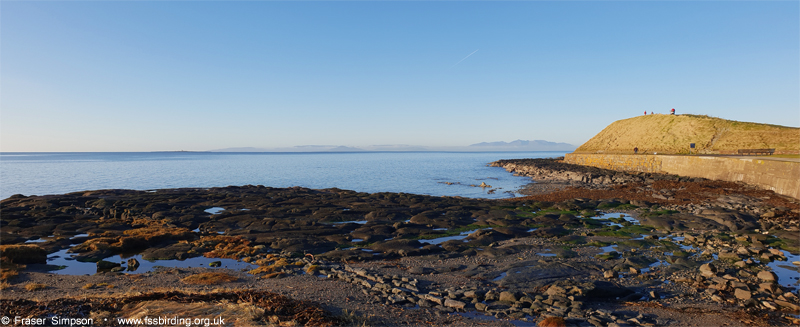 Ballast Bank, Troon, Ayrshire  Fraser Simpson 