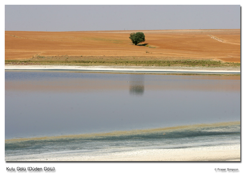 Kulu Gl,  near Konya  Fraser Simpson