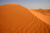 Landscapes