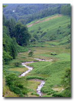 North Glen App