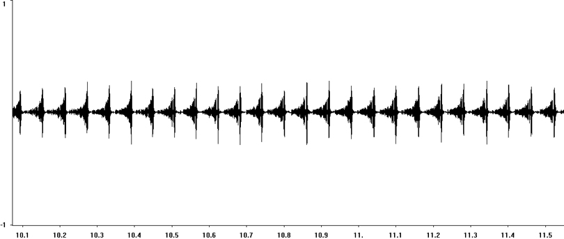 Oscillogram of Woodland Grasshopper stridulation