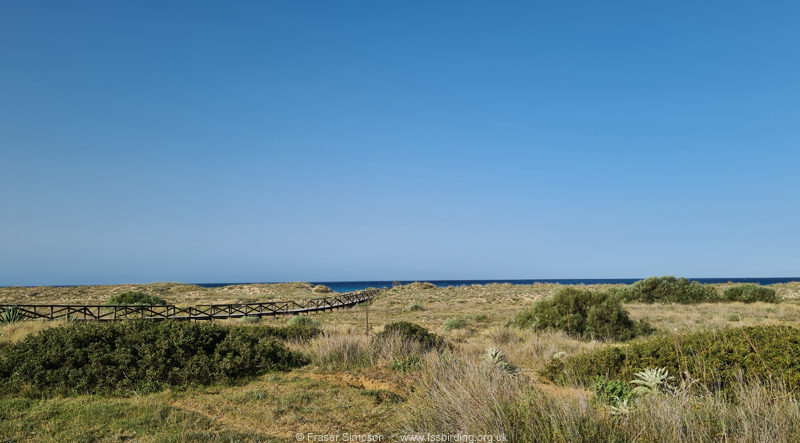 Zahara de los Atunes coastal dunes and grassland  Fraser Simpson