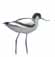 Avocet
