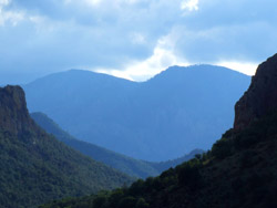 Chiricahua Mountains � 2006  F. S. Simpson