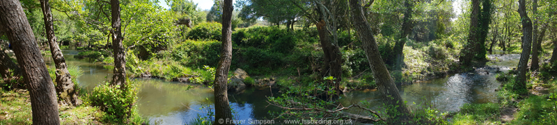 Arroyo del Tiradero, Valle de Oj�n � Fraser Simpson