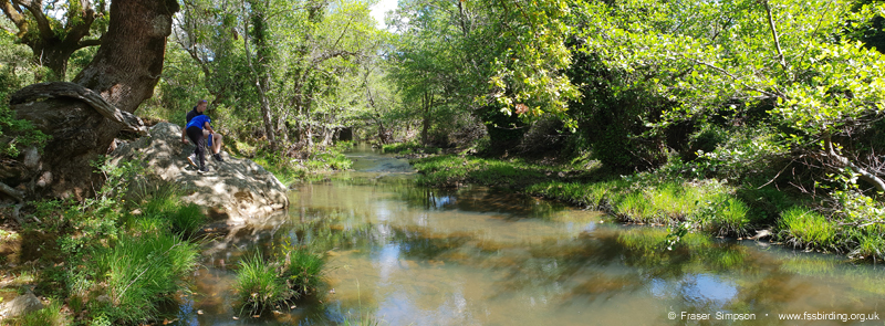 Arroyo del Tiradero, Valle de Oj�n � Fraser Simpson
