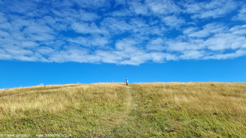Irvine beach park � Fraser Simpson