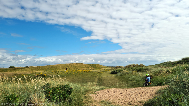 Irvine dunes � Fraser Simpson
