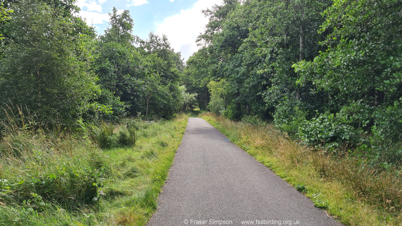 Shewalton Wood SWT � Fraser Simpson