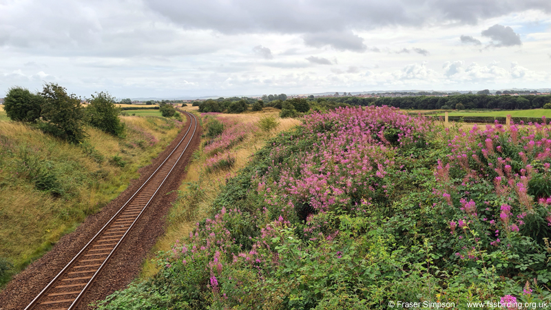 Kilmaurs to Kilmarnock railway line � Fraser Simpson