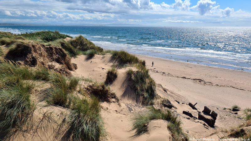 Looking towards Carrick Hills from Irvine Bay � Fraser Simpson