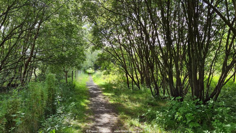 Shewalton Wood, Ayrshire � Fraser Simpson