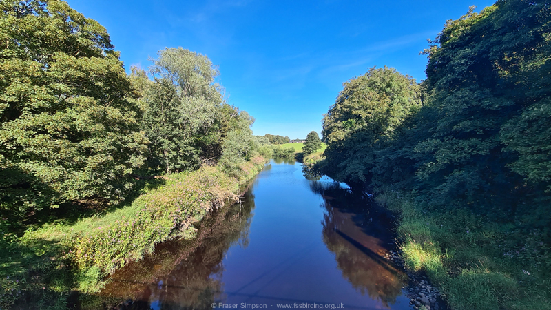 River Irvine, Dreghorn-Shewalton, Ayrshire, Scotland � Fraser Simpson