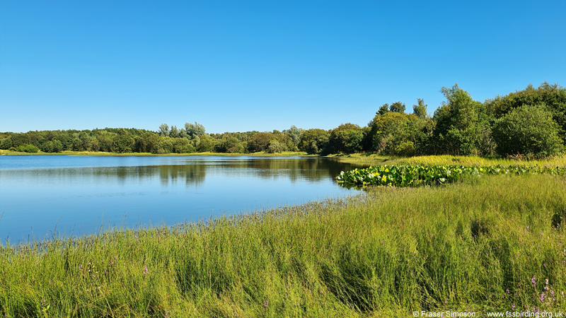 Eglinton Loch, Ayrshire, Scotland � Fraser Simpson