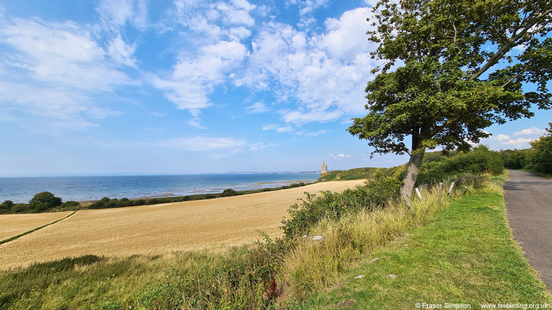 Greenan Castle & Deil's Dyke, Ayrshire, Scotland � Fraser Simpson